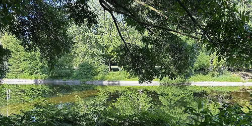 Roots and Resonance:sensory garden & sound healing