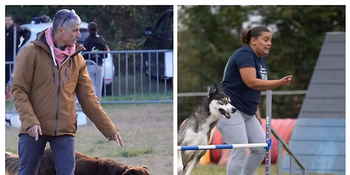 Concours hooper\/ Agility