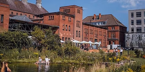 Wildkr\u00e4uter auf dem Gel\u00e4nde der Malzfabrik
