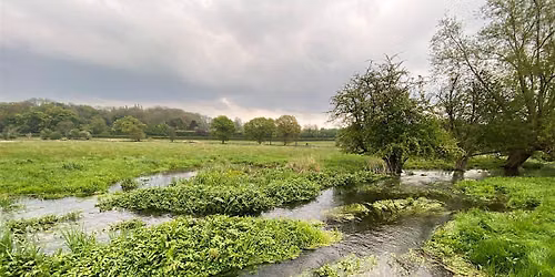Autumn Chalk Stream Birds walk