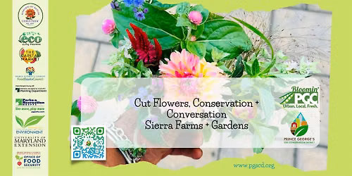 Cut Flowers, Conservation + Conversation