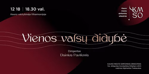 VIENOS VALS\u0172 DIDYB\u0116