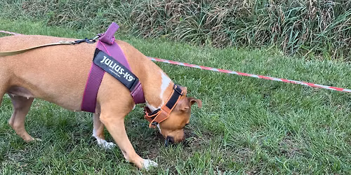Warsztaty z Kamilem Malickim- Poszukiwanie zapach\u00f3w zakopanych 