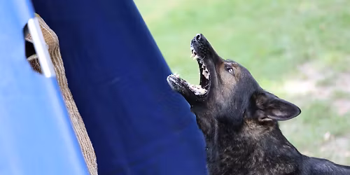 V\u00fdcvikov\u00fd v\u00edkend 4.-6.7.26