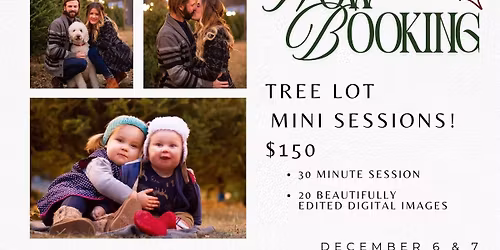 Tree Lot Mini Sessions