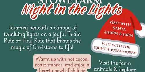 Holiday Night in the Lights \ud83c\udf84 \ud83c\udf85\ud83c\udffb 