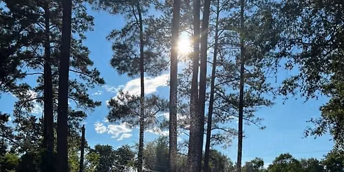 Carrington Woods Neighborhood Yard Sale