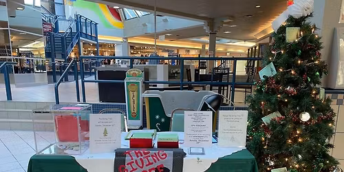 The Giving Tree Opening