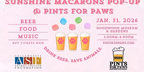 Sunshine Macarons @ Pints for Paws