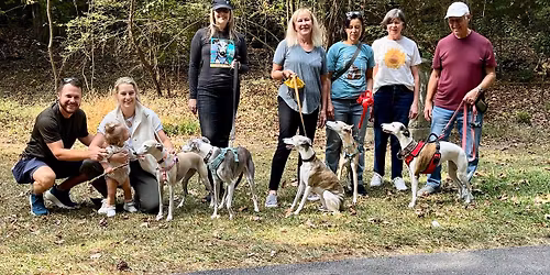 November Southside ATL Whippet Walk: Nov 15 @ 12pm in Peachtree City