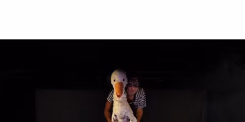 Le merveilleux voyage de Nils