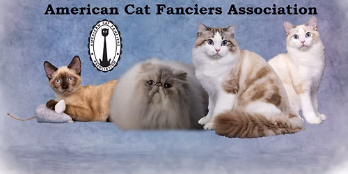 CAT SHOW -  CROWN POINT, IN