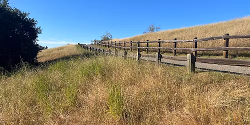 Saturday Group Hikes & Trail Runs at Rancho San Antonio, Santa Clara County