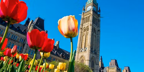 3-Day Ottawa Tulip Festival & Sightseeing Tour