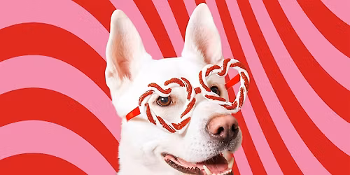 Journ\u00e9e photo avec votre animal de compagnie - Holiday Pet Photo Day