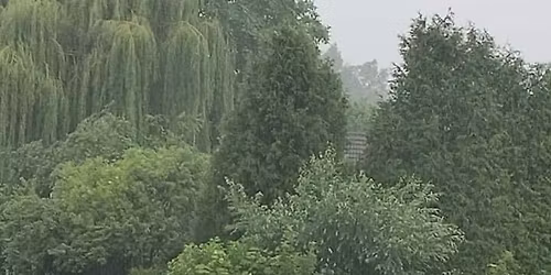 F\u00eate de la Brainette