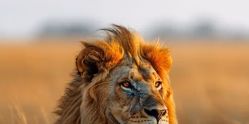Mighty Men Lowveld