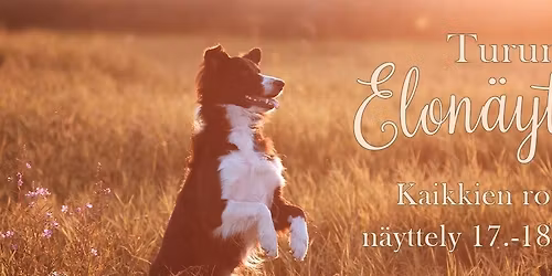 Elon\u00e4yttely 2026