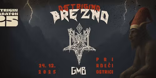 \ud83d\udd25 OSTRIGINO BO\u017dI\u010cNO BREZNO \ud83d\udd25 | CVINGER | GMB |