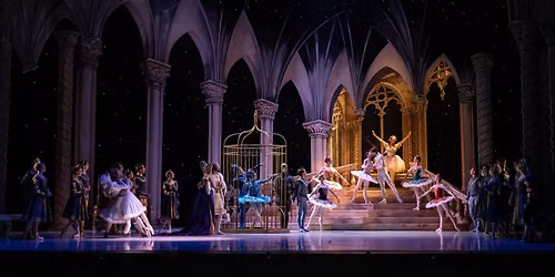 Sleeping Beauty | Royal New Zealand Ballet