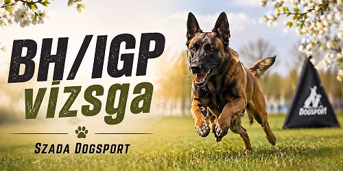 Tavaszi BH\/IGP vizsga