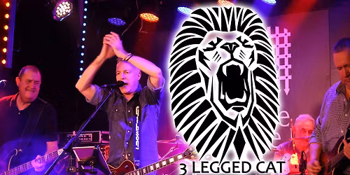 3 Legged Cat @ The Bunny Hop