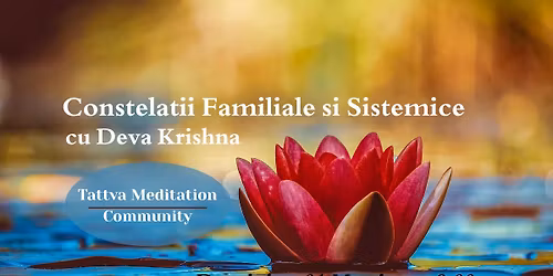 Constela\u021bii Familiale \u0219i Sistemice cu Deva Krishna - Workshop