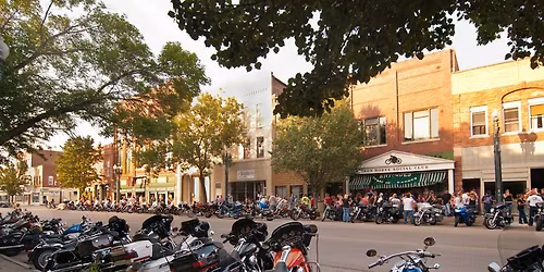 Hawg Dogs Saloon - Savanna, IL