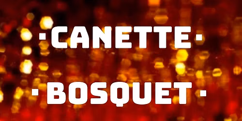 Canette, Bosquet et Smoke Spell au Sans-taverne