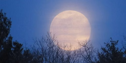 Volle Maan Wandeling + astrologische uitleg
