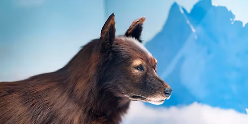 Blue Sky Dogs at Eagles Theatre