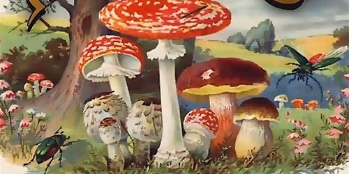 Blue Sky at BIGBAR 6 -10PM! No Cover!