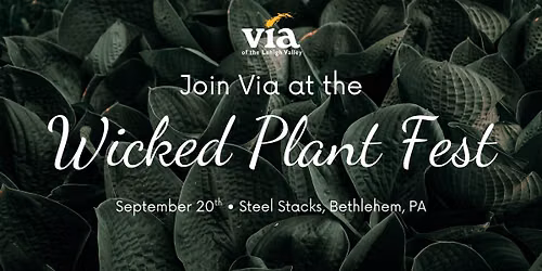 Via at Wicked Plant Fest