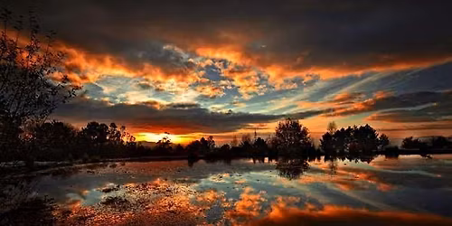 Illinois Retina Associates - Glenview Office Grand Opening