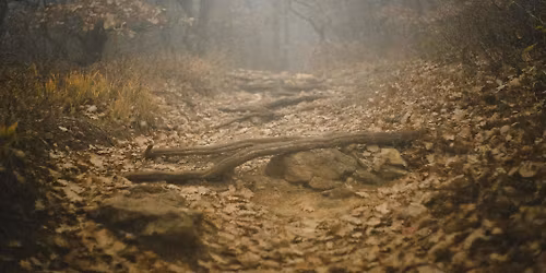 KANAR November Event