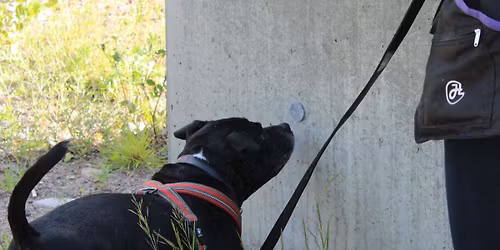 Nosework instrukt\u00f8rkurs 2026