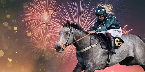 PricedUp New Year's Day Racing