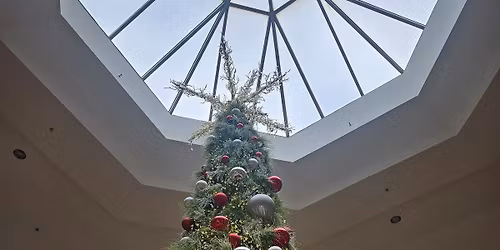 Holiday Music Showcase