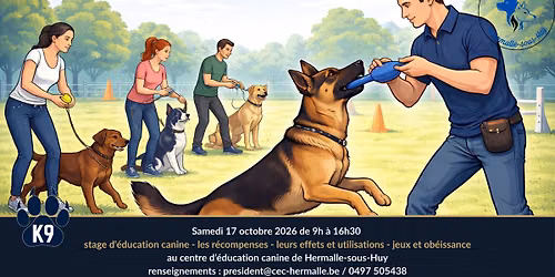 stage d'\u00e9ducation canine - les r\u00e9compenses - leurs effets et utilisations - jeux et ob\u00e9issance