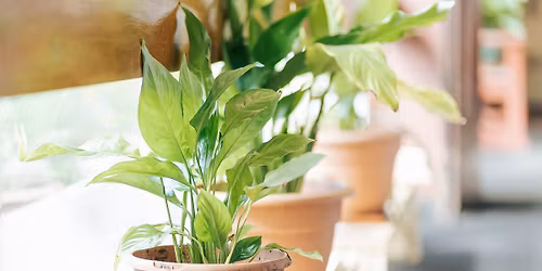 Boundaries That Build: Protecting Our Energy for Sustainable Working