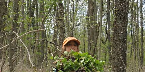 Invasive Shrub Cutting Mary Beth Doyle Nature Area