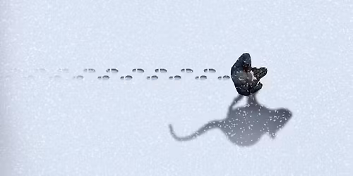 The Mousetrap by Agatha Christie