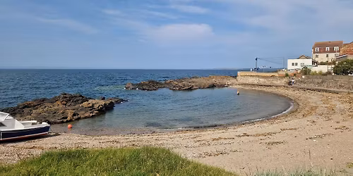 opening day at the cove