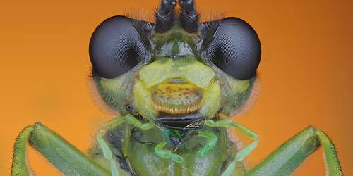 Wildlife of the World Photography Exhibition