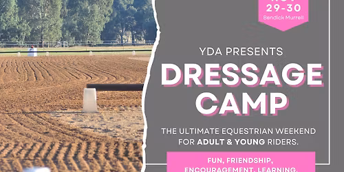 Dressage Camp
