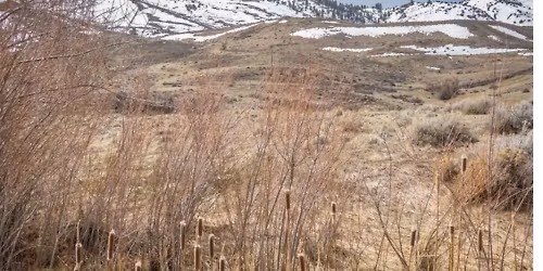 Steamboat Ditch Trail - Fabulous Views!