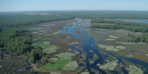 Parking Shen Yun - Evans