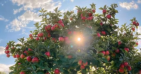 Adventi meseest a H\u00e1rom H\u00e9t Gal\u00e9ri\u00e1ban