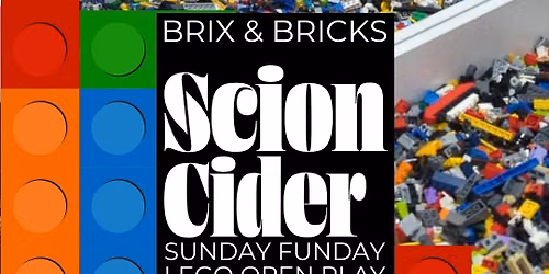 BRIX & BRICKS: LEGO Sundays