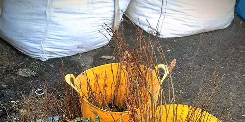 Tree planting at Aultnaskiach
